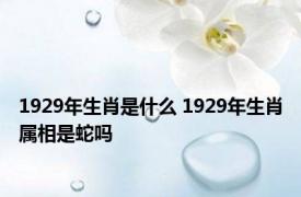 1929年生肖是什么 1929年生肖属相是蛇吗