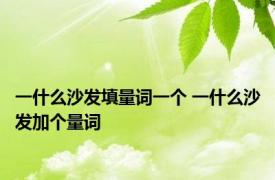 一什么沙发填量词一个 一什么沙发加个量词