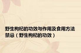 野生枸杞的功效与作用及食用方法禁忌（野生枸杞的功效）