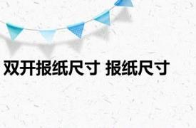 双开报纸尺寸 报纸尺寸 