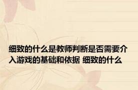 细致的什么是教师判断是否需要介入游戏的基础和依据 细致的什么