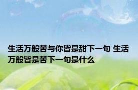 生活万般苦与你皆是甜下一句 生活万般皆是苦下一句是什么