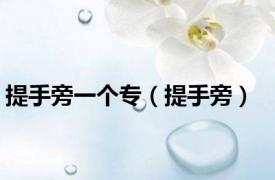 提手旁一个专（提手旁）