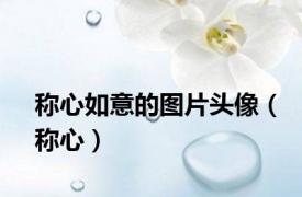 称心如意的图片头像（称心）