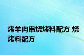 烤羊肉串烧烤料配方 烧烤料配方 