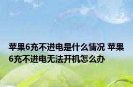 苹果6充不进电是什么情况 苹果6充不进电无法开机怎么办