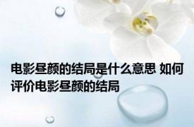 电影昼颜的结局是什么意思 如何评价电影昼颜的结局