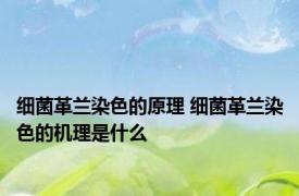 细菌革兰染色的原理 细菌革兰染色的机理是什么