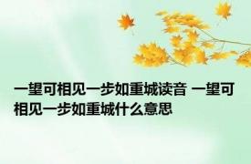 一望可相见一步如重城读音 一望可相见一步如重城什么意思