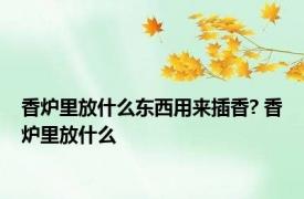 香炉里放什么东西用来插香? 香炉里放什么