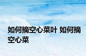 如何摘空心菜叶 如何摘空心菜