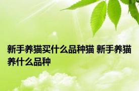 新手养猫买什么品种猫 新手养猫养什么品种