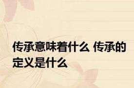 传承意味着什么 传承的定义是什么