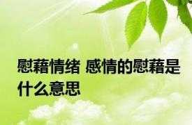 慰藉情绪 感情的慰藉是什么意思