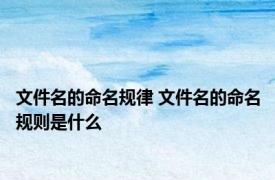 文件名的命名规律 文件名的命名规则是什么
