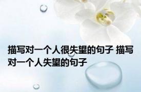 描写对一个人很失望的句子 描写对一个人失望的句子