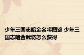 少年三国志暗金名将图鉴 少年三国志暗金武将怎么获得