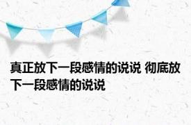 真正放下一段感情的说说 彻底放下一段感情的说说