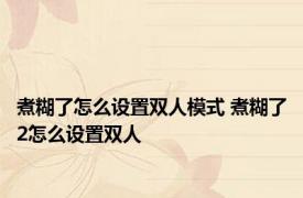 煮糊了怎么设置双人模式 煮糊了2怎么设置双人