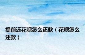 提前还花呗怎么还款（花呗怎么还款）