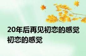 20年后再见初恋的感觉 初恋的感觉 