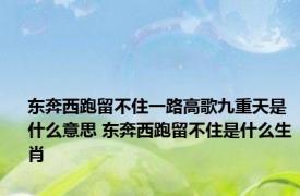 东奔西跑留不住一路高歌九重天是什么意思 东奔西跑留不住是什么生肖