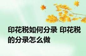 印花税如何分录 印花税的分录怎么做