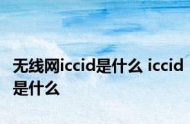 无线网iccid是什么 iccid是什么