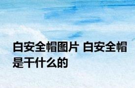 白安全帽图片 白安全帽是干什么的