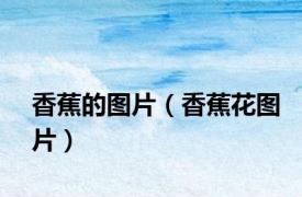 香蕉的图片（香蕉花图片）