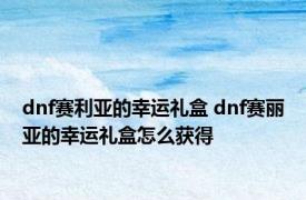 dnf赛利亚的幸运礼盒 dnf赛丽亚的幸运礼盒怎么获得