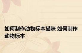 如何制作动物标本猫咪 如何制作动物标本