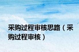采购过程审核思路（采购过程审核）