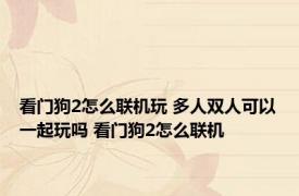 看门狗2怎么联机玩 多人双人可以一起玩吗 看门狗2怎么联机