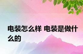 电装怎么样 电装是做什么的