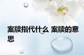 案牍指代什么 案牍的意思 