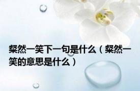 粲然一笑下一句是什么（粲然一笑的意思是什么）