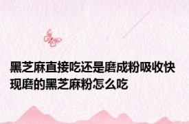 黑芝麻直接吃还是磨成粉吸收快 现磨的黑芝麻粉怎么吃
