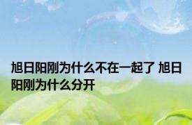 旭日阳刚为什么不在一起了 旭日阳刚为什么分开