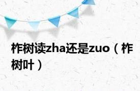 柞树读zha还是zuo（柞树叶）