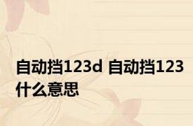 自动挡123d 自动挡123什么意思