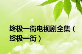 终极一街电视剧全集（终极一街）