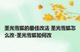 圣光雪狐的最佳改法 圣光雪狐怎么改-圣光雪狐如何改