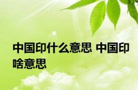 中国印什么意思 中国印啥意思