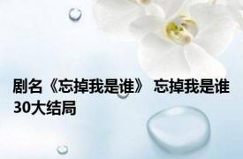 剧名《忘掉我是谁》 忘掉我是谁30大结局