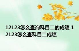 12123怎么查询科目二的成绩 12123怎么查科目二成绩