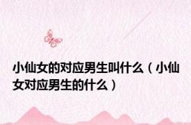 小仙女的对应男生叫什么（小仙女对应男生的什么）