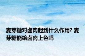 麦芽糖对卤肉起到什么作用? 麦芽糖能给卤肉上色吗
