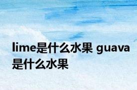 lime是什么水果 guava是什么水果