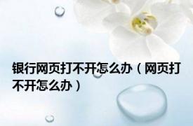 银行网页打不开怎么办（网页打不开怎么办）